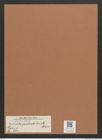 Navicula probabilis Schm. (de-Toni-Nr.: Genus 1, Species 562) Zeichnungen Sammlung Grunow Mappe 00485 (Herbarium_W_Grunow_drawings_Folder_00485)